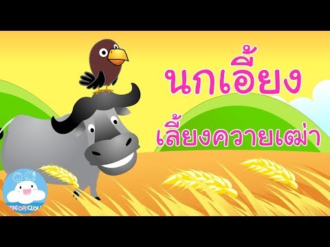 นกเอี้ยงเลี้ยงควายเฒ่า ดอกสร้อยสุภาษิต by KidsOnCloud