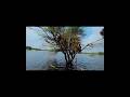 finally water ke andar tree par house Bankar hua taiyar part 2