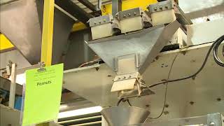 driving success   king nut