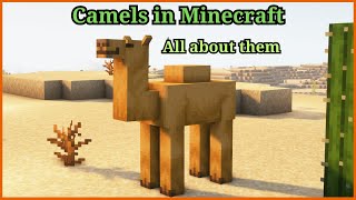 Camels in Minecraft all about them