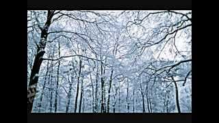 Miniatura del video "Eerste sneeuw - Stan Van Samang"