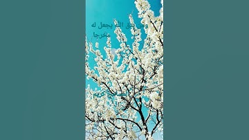 القرآن الكريم/سورة الاحزاب بصوت الحاج عامر الكاظمي//اللهم صل وسلم على نبينا محمد.