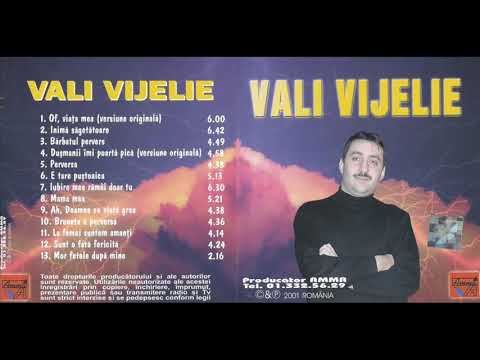 Vali Vijelie Dusmanii imi poarta pica versiunea originala