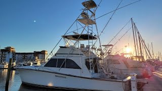 Buying My First Sportfish At 22! (1985 Ocean Yachts 46')