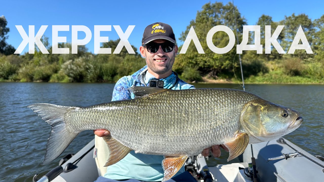 ЖЕРЕХ дуреет с этой прикормки!
