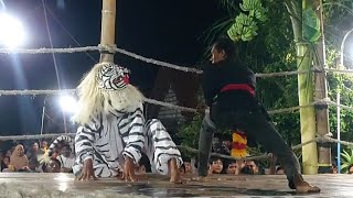 MACANAN BAJA BUANA PERENG WETAN (BUNGAH) part 08