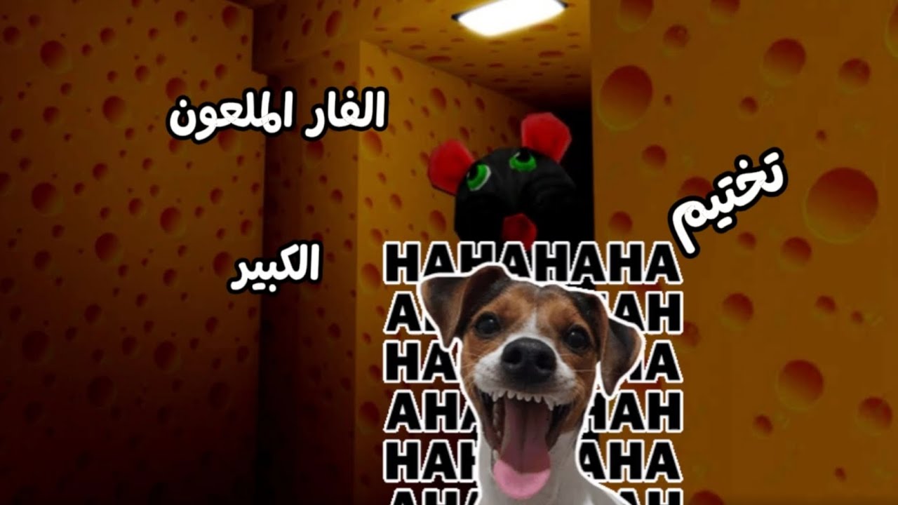 الفار الكبير في روبلوكس ضخم اكبر من الماب !