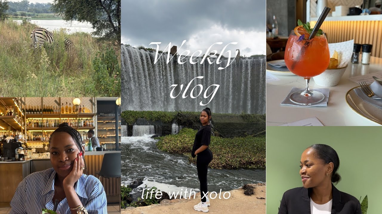 Life with Xolo: Car Shopping, Maintenance, Hiking….etc