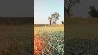 No views 😌 #din_esh918 #cricket #love #cricketlover #viral