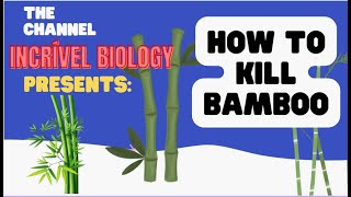 How to Kill Bamboo New Method #1  @WikiHow8