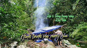 Hành trình đi vào rừng sâu - Ký sự rừng già | Tập 1: Sống trong rừng Khe Bún