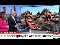 Images of the Florida Swamps Reveal the Consequences No One Saw Coming