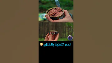 وجبة الجيش الاستوني 