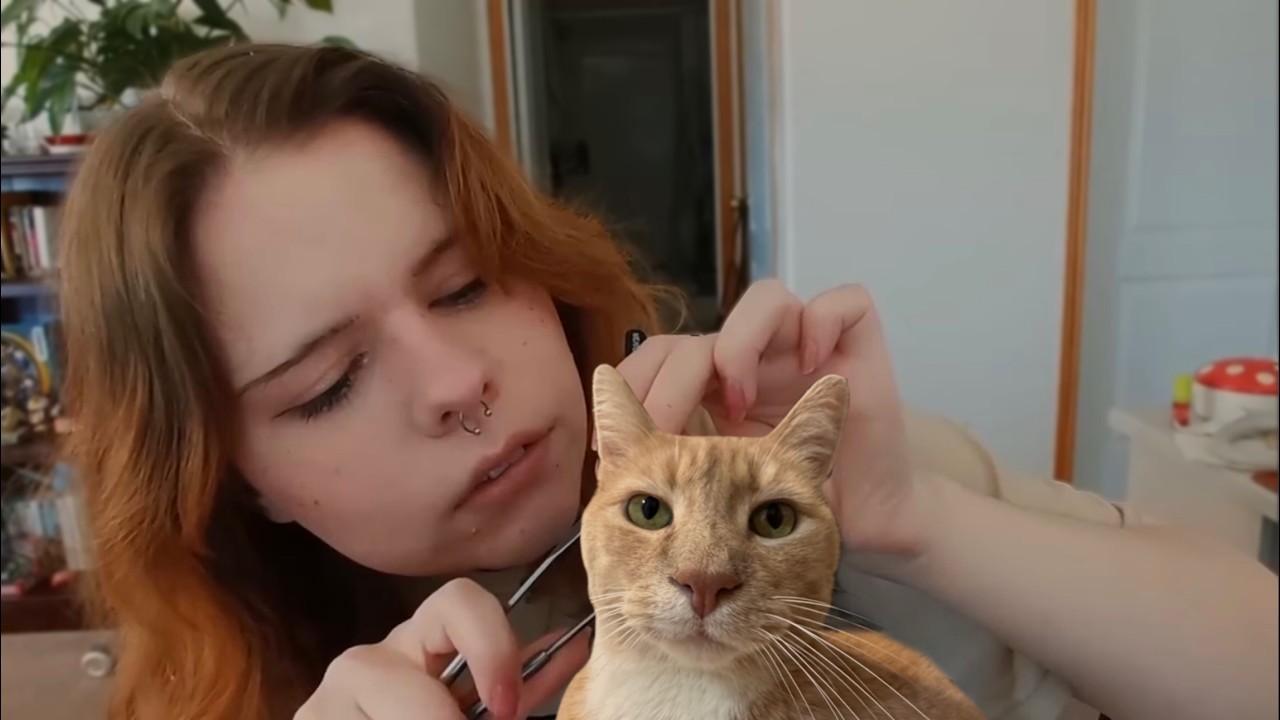 ASMR 5 hour intentional medical exams (eye test, ear cleaning and treatment, detailed) compilation