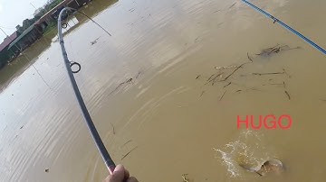 Câu cá sông Đồng Nai - Làng bè Tân mai đụng Hugo và cái kết.