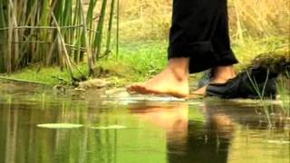 TIGER WOODS- WATCH HOW TIGER WOODS WALK ON WATER LIVE ON HD