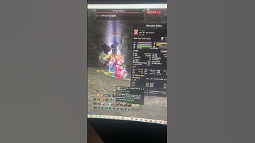 L2 LINEAGE 2 NAIA DK 126 DMG VS RAID BOSS ARROGANT LEBRUUM 128 LVL + STATS CZAJADK