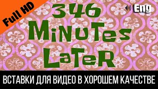 346 Minutes Later / 346 Минут Спустя | Spongebob Timecard | Вставка Для Видео | Insert For Video