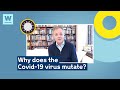 Why does the Covid-19 virus mutate? | Wellcome