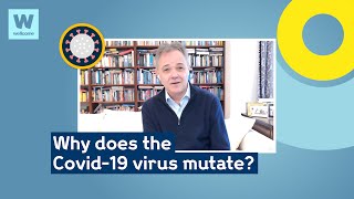 Why does the Covid-19 virus mutate? | Wellcome