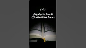 إِنَّهُ أَنَا اللَّهُ الْعَزِيزُ الْحَكِيمُ || سورة النمل || علي جابر