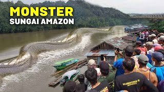 1 Hari Di Sungai Amazon Bertemu Monster Anaconda, Piranha, Arapaima dan 10 Hewan Lainnya