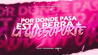 POR DONDE PASA ESTA PERRA   Y LA QUESO? LA QUE SOPORTE 💅🥵 LUIS CORDOBA REMIX.