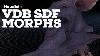 Houdini: VDB SDF Morph