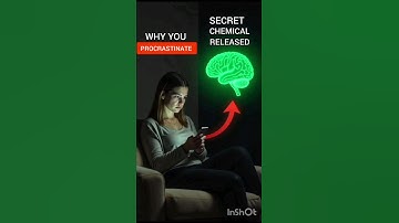 Why You Procrastinate (It’s NOT Your Fault!)