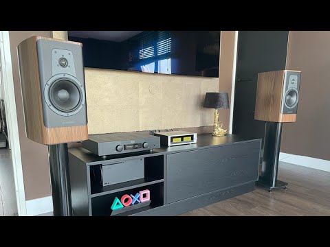 Small adjustments - Dynaudio Contour 20