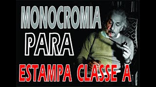 MONOCROMIA PARA CAMISETA CLASSE A