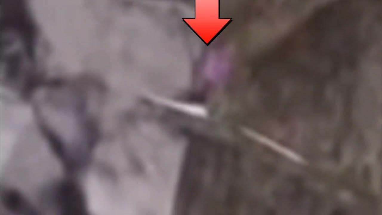 Who Is DAISY 09 (Gorilla Tag vr) YouTube