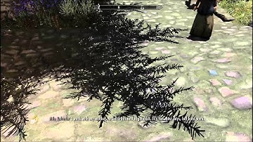 Skyrim Extreme Shadows