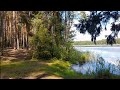 Сказочный лес у Черного озера во Владимирской области🌲🌲🌲 A fabulous forest near Black Lakе