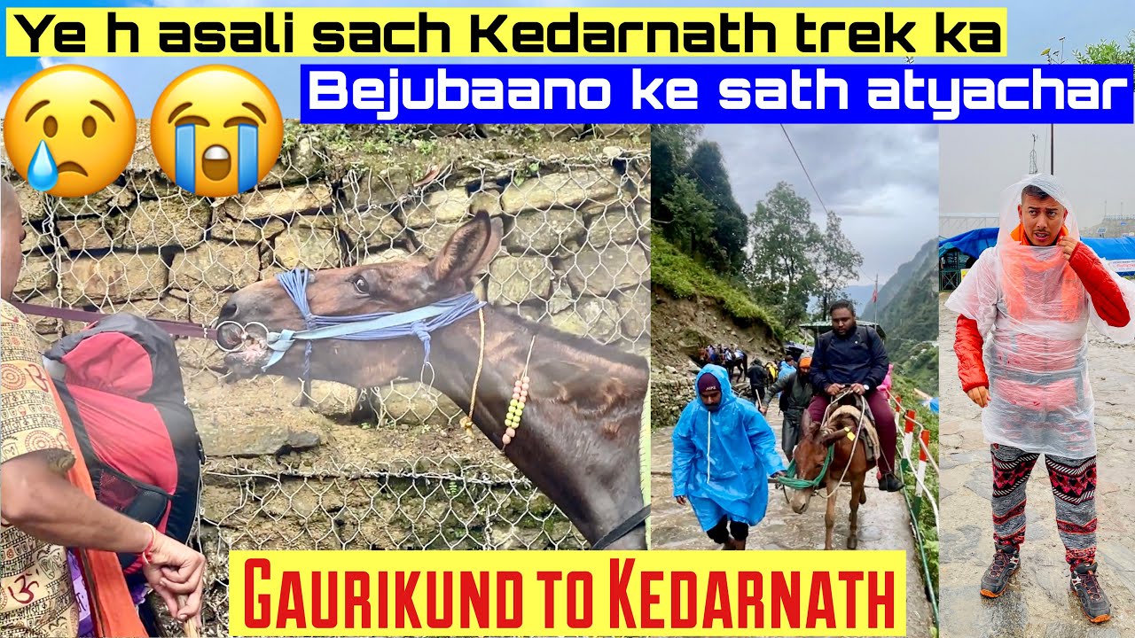 ⁣Vlog 188 | Gaurikund to Kedarnath trek. Isliye marte h ghode yha.