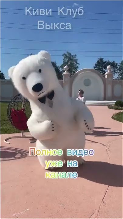 Мишка Пломбир на Выпускном #shorts - YouTube