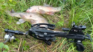 NEW Fishing ArrowMini Striker Pistol Crossbows 