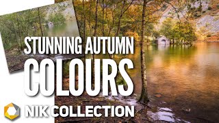 Autumn Photo Editing in the Nik Collection screenshot 2