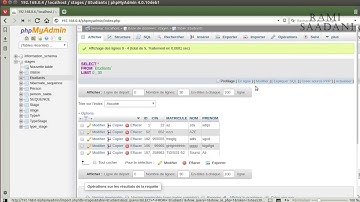 Simple JEE Project using glassfish, Tutorial 4 : Checking our database.