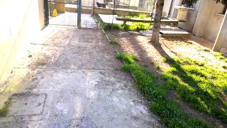 WP 20150331 003