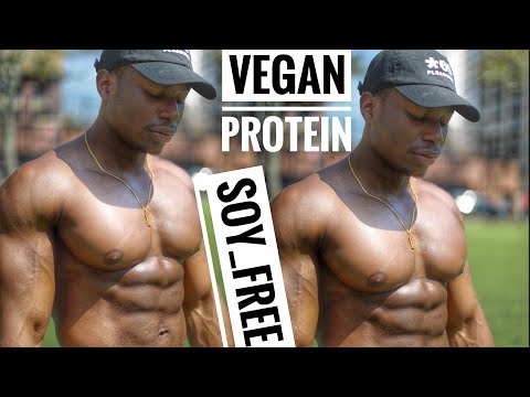 plant-based-protein-sources-|-vegan-protein-soy-free