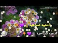 حالات واتس اب دينيه||_