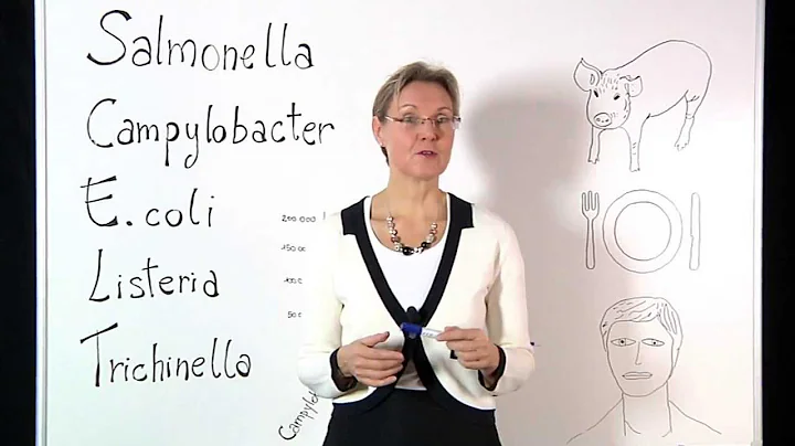 What are food-borne zoonotic pathogens? Why are they important for public health? - DayDayNews