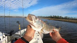 DIY Soft Plastic Swimbaits vs Cold-Water Trout (Surprising Results) #handmadelure #fishinglure