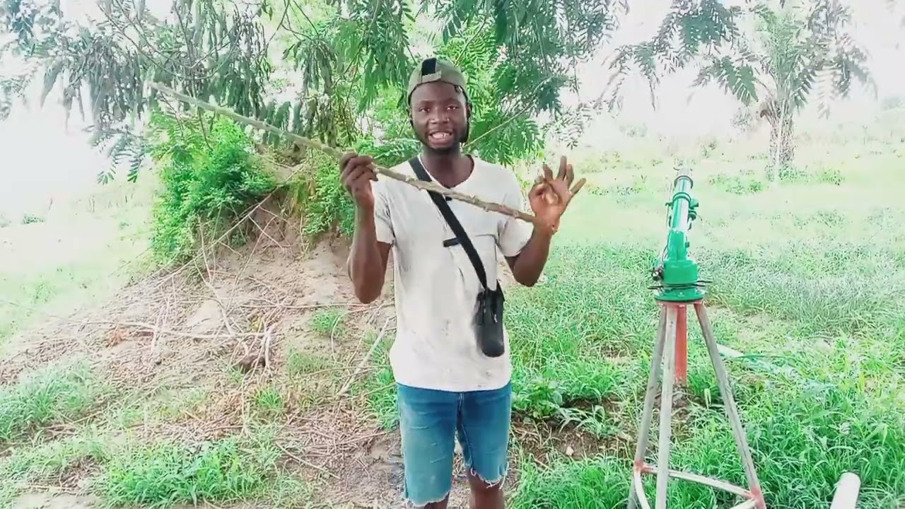 La Technique simple pour transformer une tige en plusieurs plants