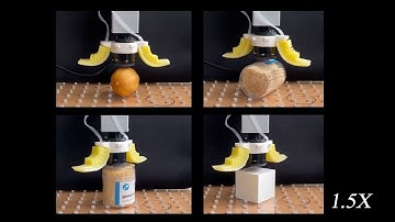 TacPalm: A soft gripper with a biomimetic optical tactile palm for stable precise grasping