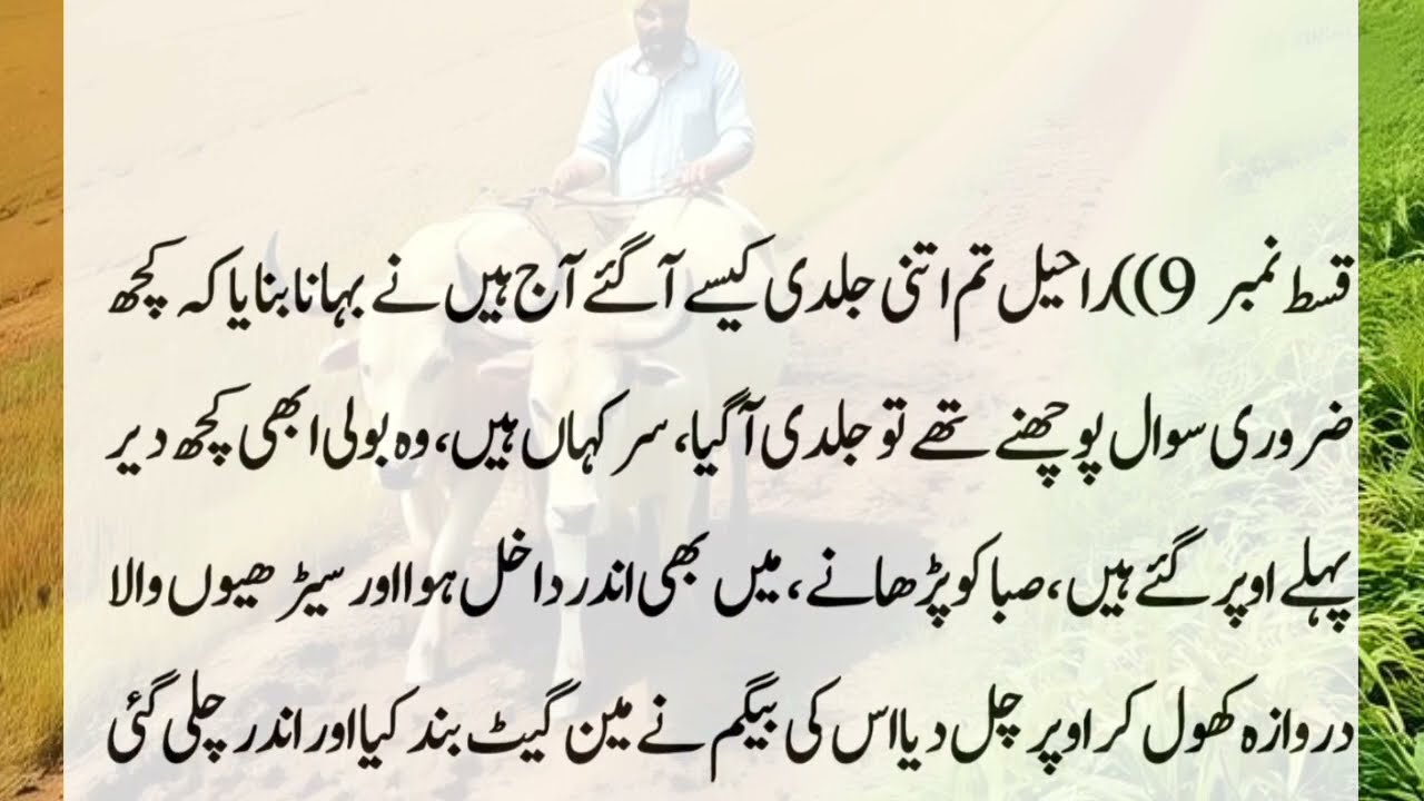 📝 A Suspicion That Changed Everything