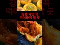 강릉 중앙시장 맛집 중화짬뽕빵!