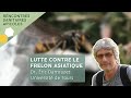 Lutte contre le frelon asiatique  dr ric darrouzet  universit de tours