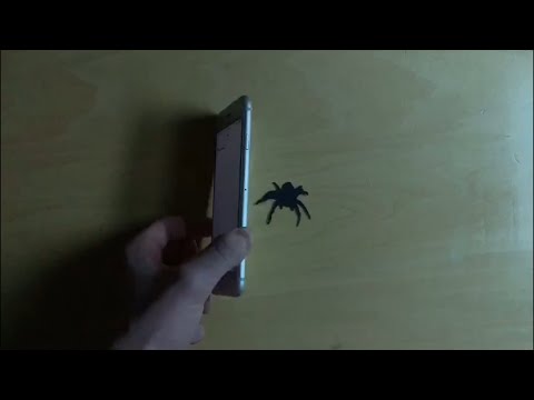 spider-jump-scare,-stop-motion